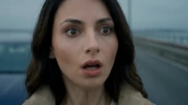 Clip · the reaction