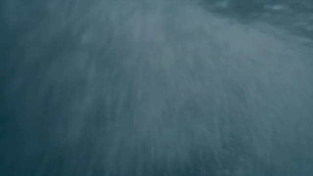 Clip · inside the wave